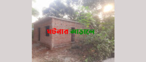 গাজীপুরের মনিপুর বিটে তদন্ত শেষ হতে না হতেই আবারও দখল বাণিজ্য
