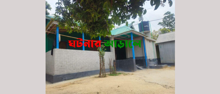 কালিয়াকৈরের জাথিলা বিটে বাড়ছে দখল বাণিজ্য, উজাড় হচ্ছে বন